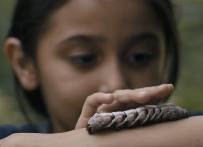 Fecha de estreno en M�xico: septiembre 3, 2015. Manto acu�fero de Michael Rowe sigue la mirada de Caro, una ni�a a la que el mundo se le ha desmoronado.  - ENFILME.COM
