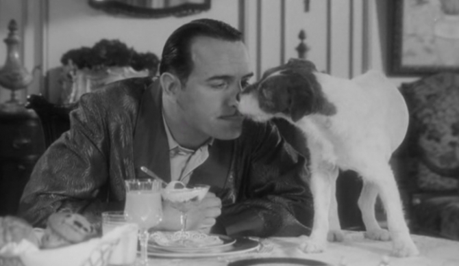 El cine le ha rendido varios homenajes a la misteriosa, pero constante amistad�entre hombres y caninos. En orden cronol�gico, diez perros memorables en el cine. - ENFILME.COM 