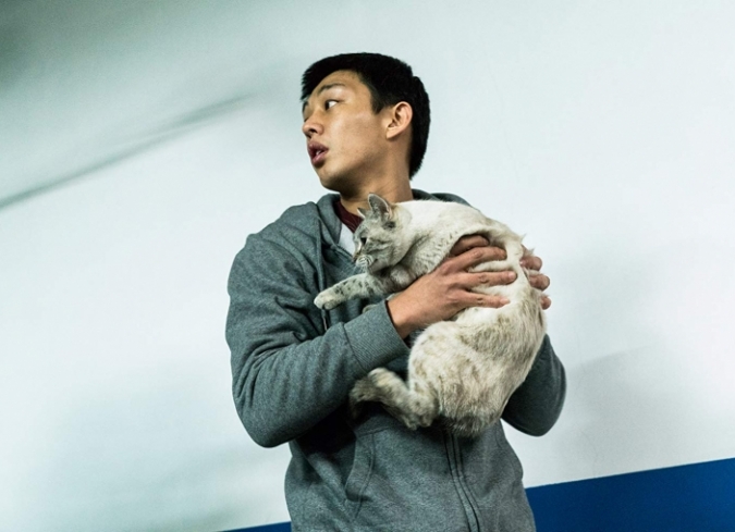 Jongsu (Yoo Ah-in) es un joven de clase trabajadora y aspirante a escritor en busca de superar un bloque ocreativo. Para ello, deambula entre los fantasmas de su propio pasado y las obsesiones de un presente que le resulta indescifrable. Un d�a, mientras realiza entregas y trabajos de medio tiempo como repartidor en Se�l, Jongsu se reencuentra con Haemi (Jun Jong-Seo), una chica a la que conoci� en la infancia y no la hab�a visto desde aquel entonces. Luego de algunos breves encuentros, ella se marcha a �frica y le pregunta a Jongsu si puede cuidar de su gato mientras est� fuera. A su regreso, Haemi est� en compa��a de Ben (Steven Yeun), un misterioso y adinerado hombre. Entre los tres, casi extra�os, pronto se establece una fuerte atracci�n y una compleja geometr�a de sentimientos, llena de fantas�as borrosas que generan ilusiones e incertidumbres. Cuando la amistad y la confianza florece entre los dos hombres, Ben le revela su m�s perverso pasatiempo. Al saber el m�s rec�ndito secreto de su nuevo amigo -o rival-, Jongsu entra en una espiral de confusiones y angustias, donde los l�mites -entre la seguridad y el peligro, las dudas y las certezas, la realidad y la ficci�n- comienzan a difuminarse.  - ENFILME.COM