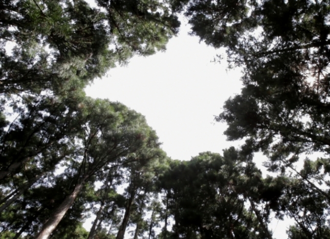 Inori es un documental filmado en Jap�n por el realizador Pedro Gonz�lez-Rubio (Alamar, .  - ENFILME.COM